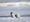 南極帝王企鵝數量銳減 料與氣候變遷有關