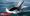 大西洋謎團：「殺人鯨」莫名其妙結伴「騷擾」帆船